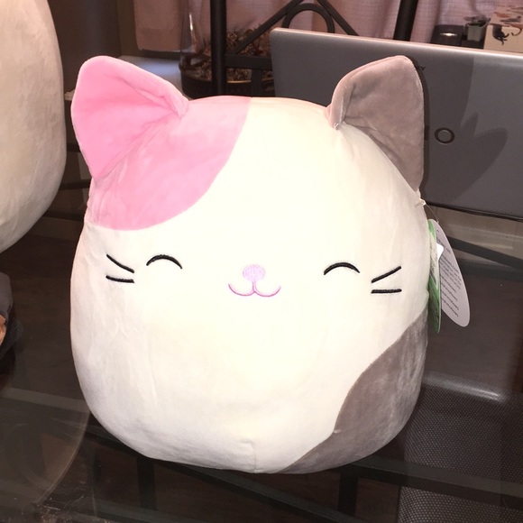 karina the cat squishmallow